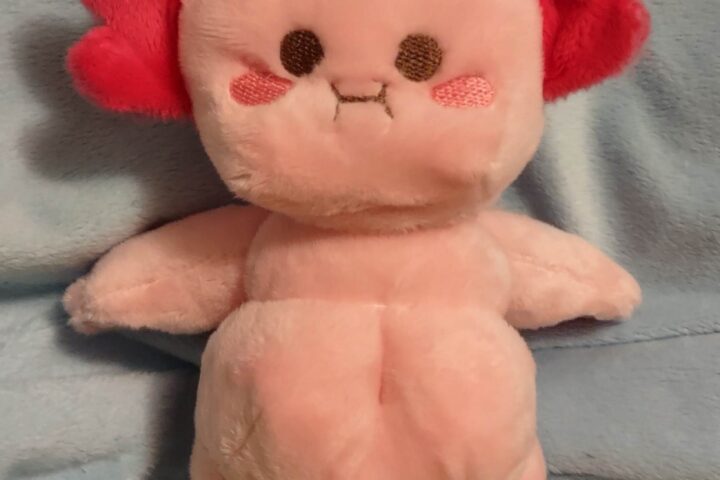 Chubby Buddy Pixelledsugar Plushies